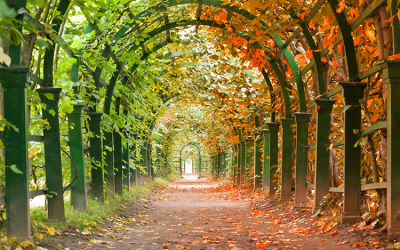 When Is The Best Time Of Year To Move?