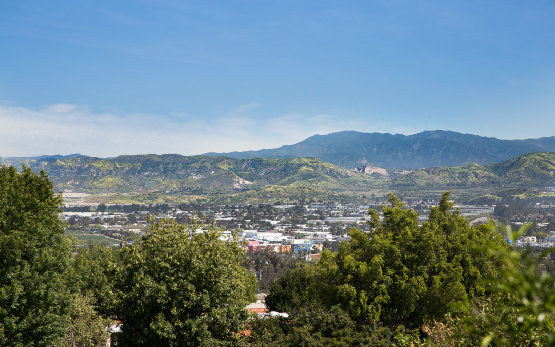 Navigating the Real Estate Market: Jeff Pittman’s Guide to Finding Great Deals